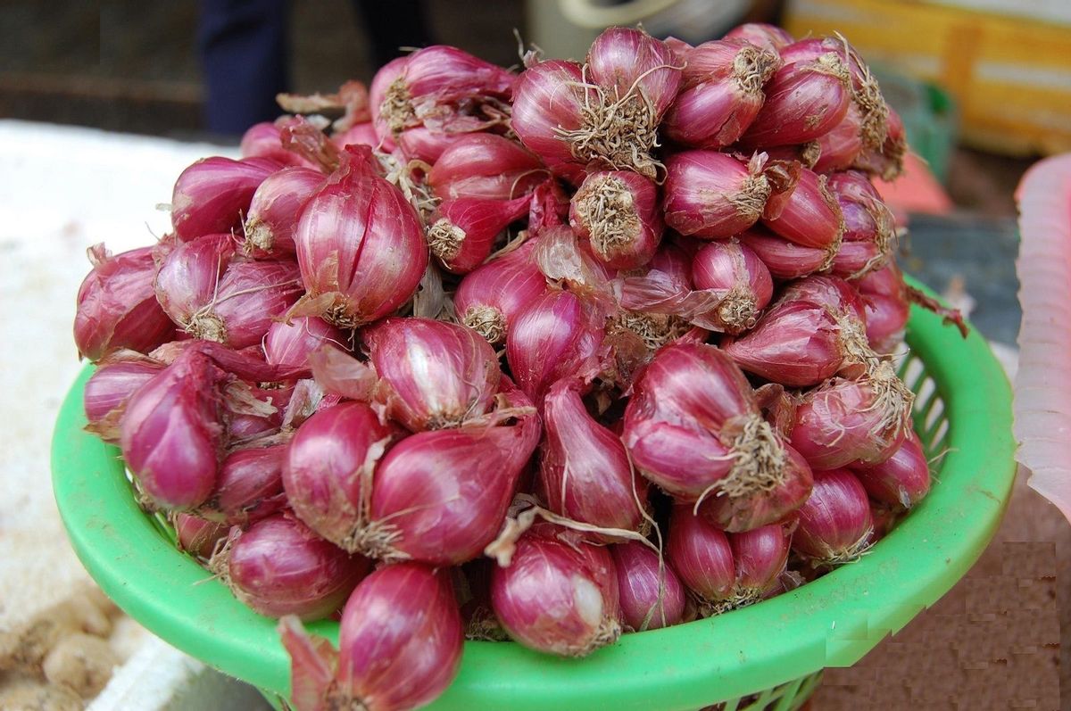 哪里的大蒜最好吃排行,哪种蒜最好吃