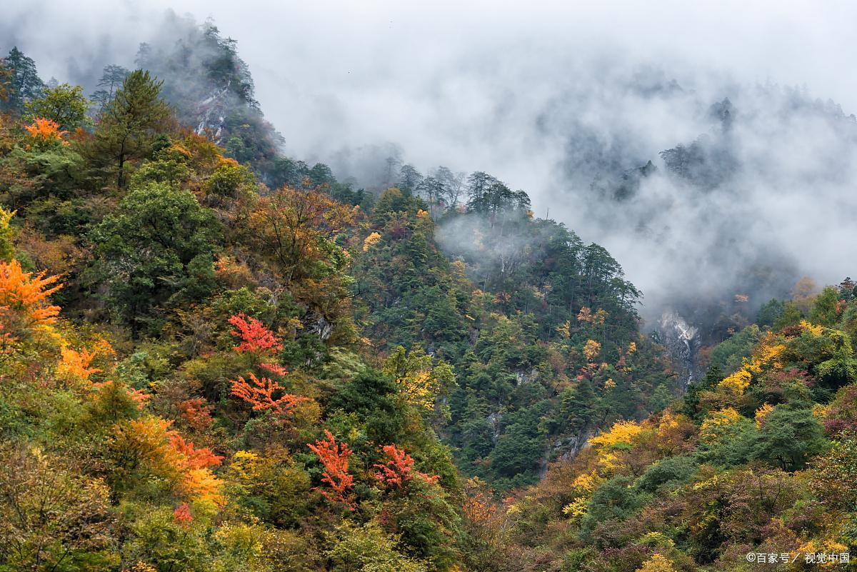 稻城亚丁差评视频,稻城亚丁真实的评价