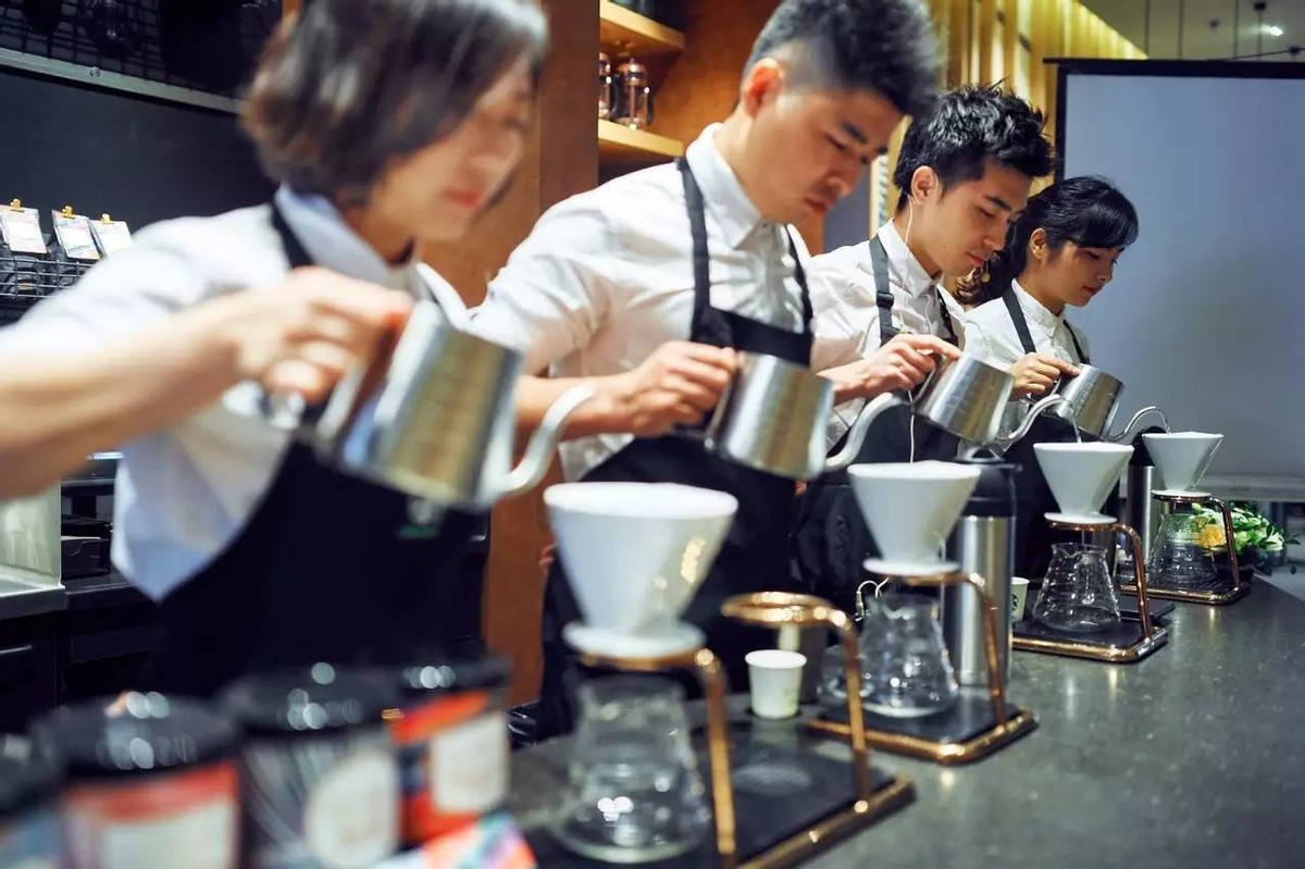 星巴克是如何改变美国咖啡文化的,星巴克需要了解的咖啡知识