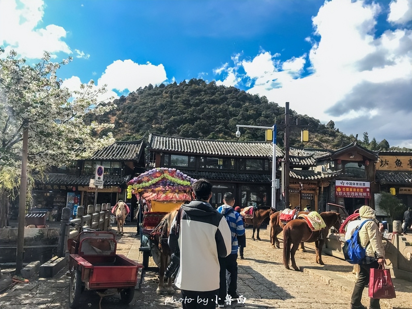 玩转云南自由行,昆明大理丽江6天5晚游多少钱