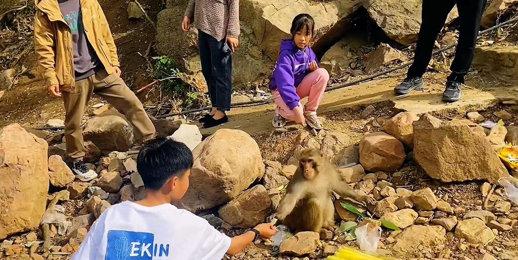 郑州出发十一冷门自驾游,郑州亲子游十大必去景点免费的