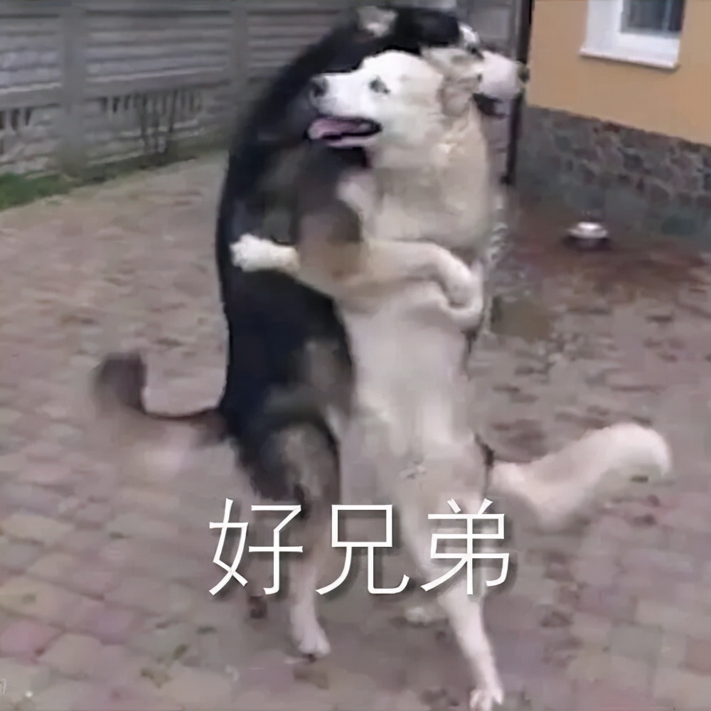 nba乔丹公牛纪录片,nba篮球人物纪录片全部