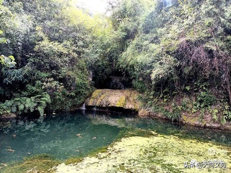 国庆假期8天视频,国庆假期生活日记八年级