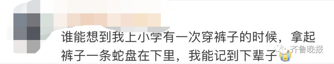 蛇总是偷吃鸡蛋怎么办,2米长蛇惊现居民楼