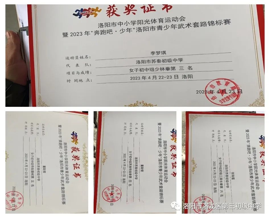 素质教育结硕果,素质教育特色学校创建实施方案