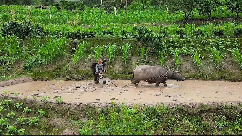 说农业是暴利的专家是哪个人,农业是暴利行业是哪个专家说的