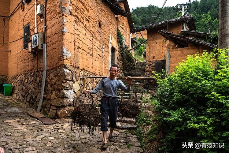 曹晓洁高考多少分,中国第一专科生曹晓洁