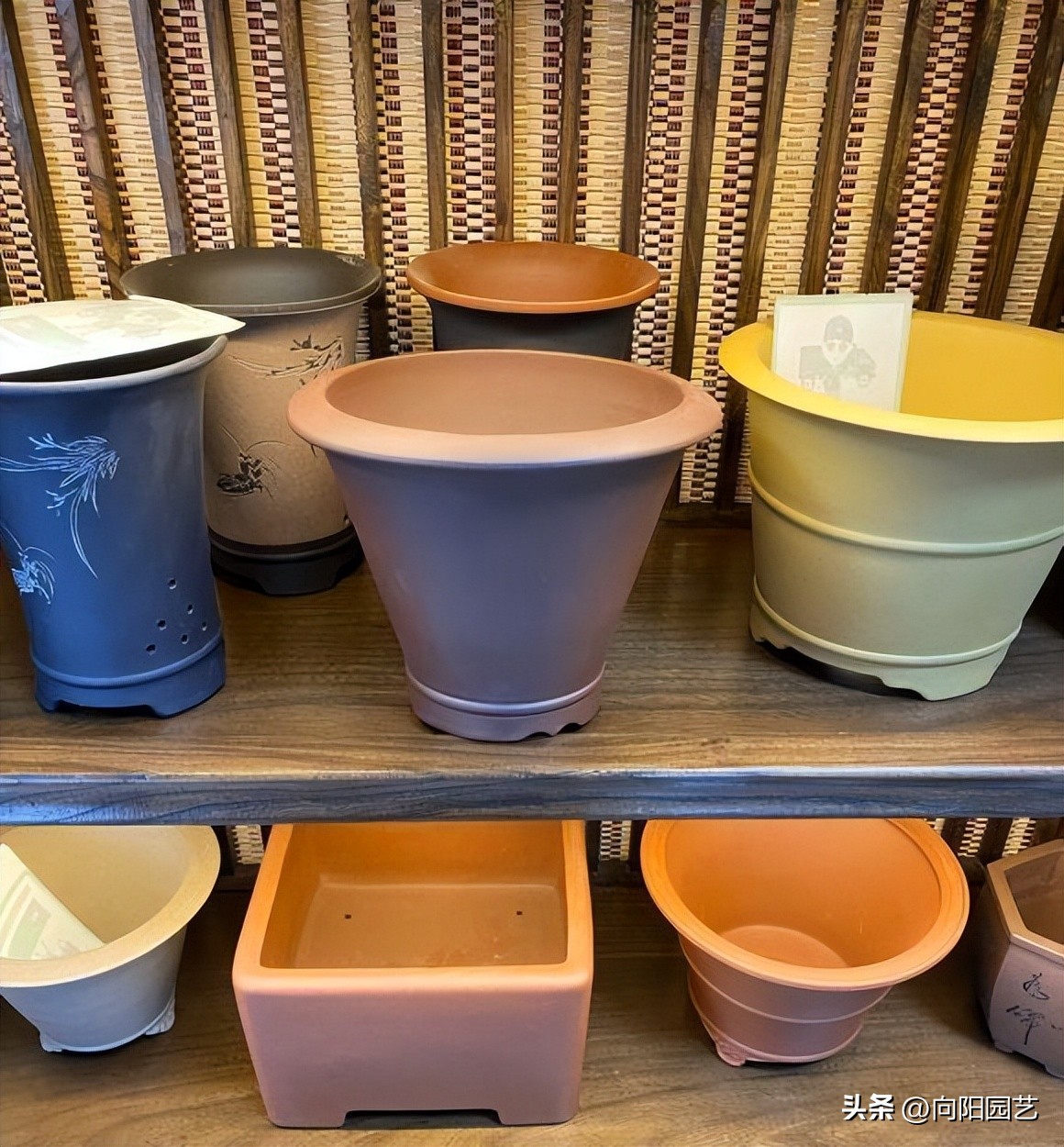 多肉花盆贵的和便宜的区别,紫砂盆和塑料盆养多肉哪个好