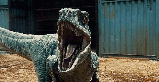 恐龙史前生物大合集,恐龙时期最强的五种恐龙