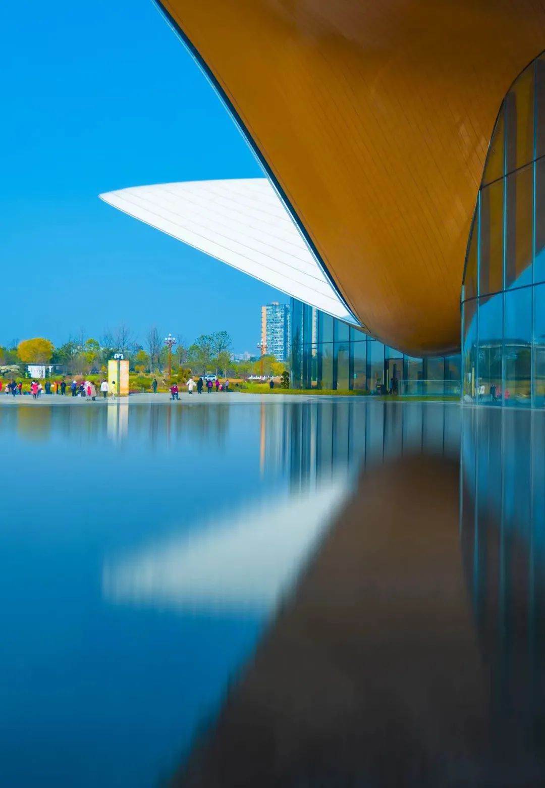 成都向上最新信息,年度向上力量合照