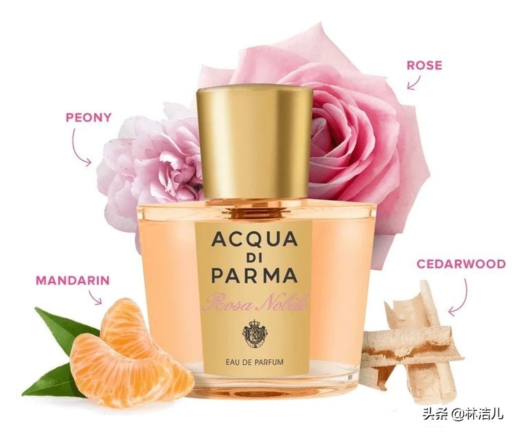 吴谨言香水,吴谨言菲拉格慕香水