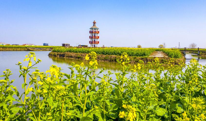 江苏泰州重大项目开工,2024泰州重大项目一览表