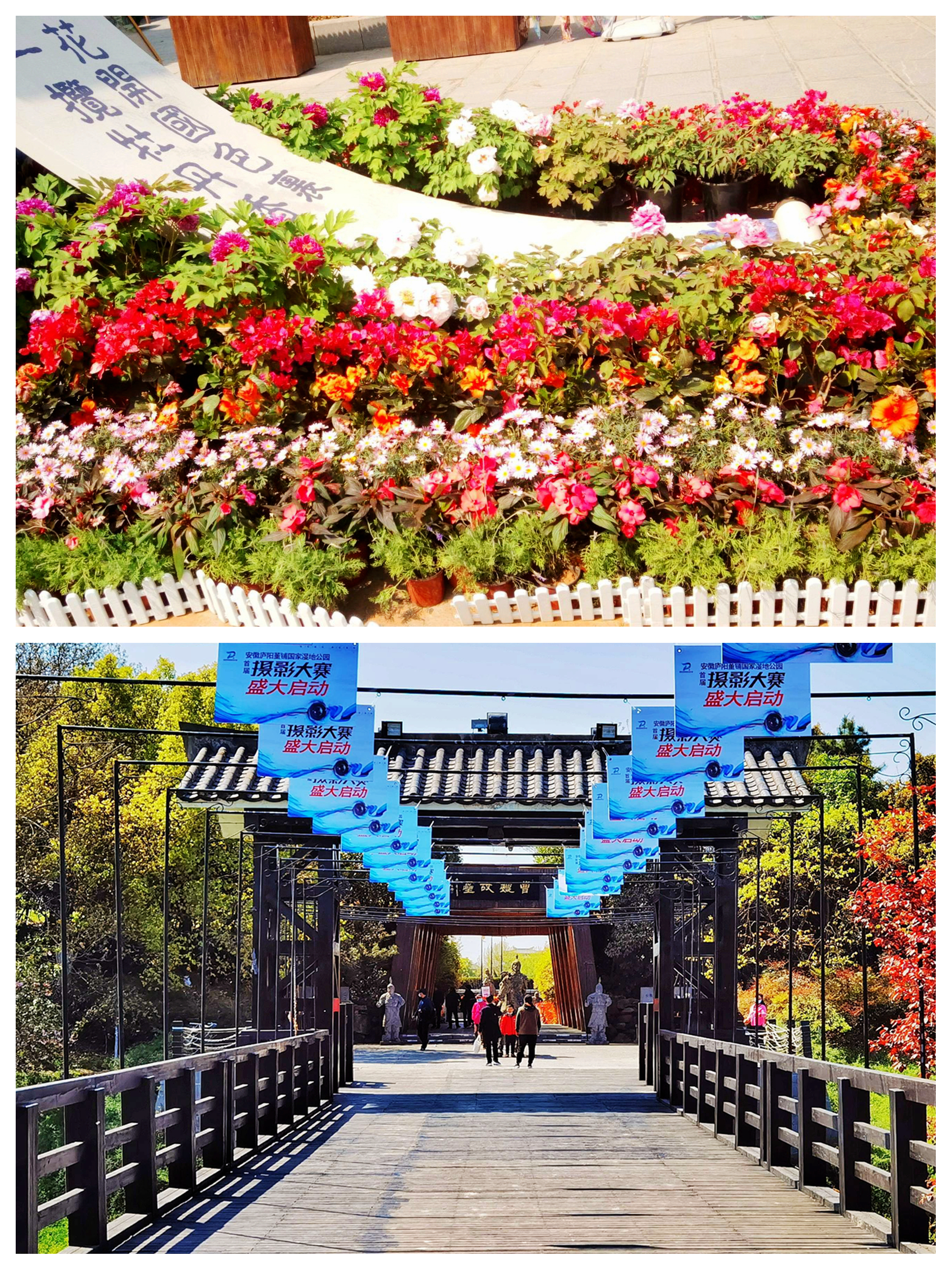 三国遗址公园合肥简介,关于合肥三国遗址公园景点介绍