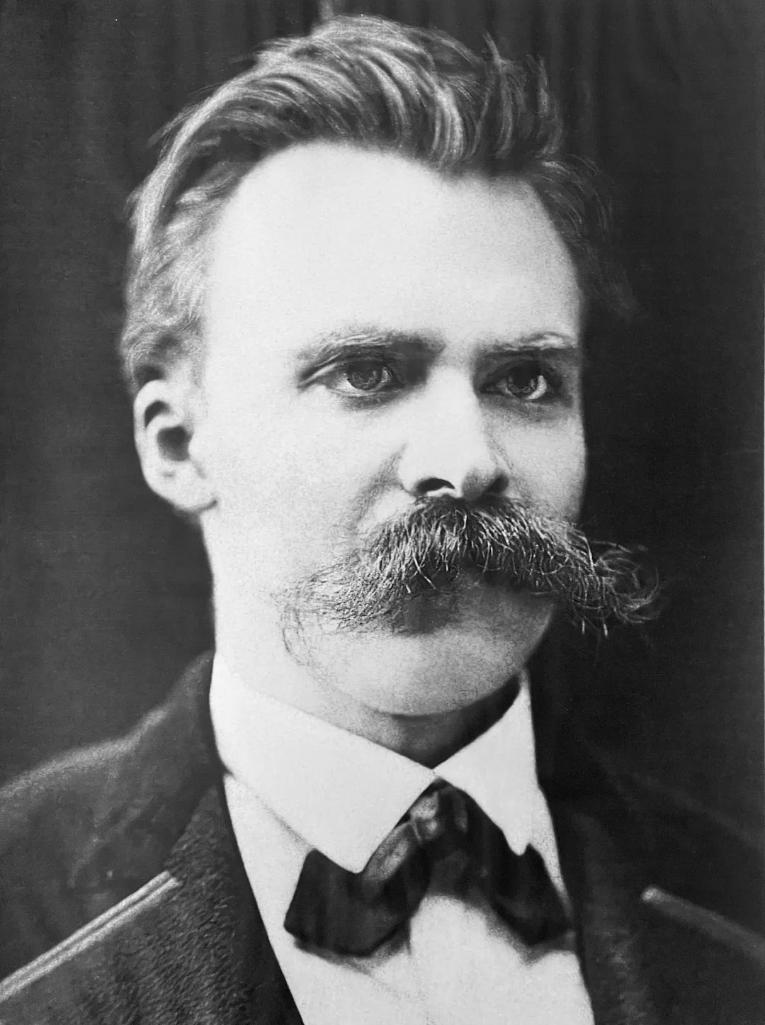 当尼采哭泣是真实故事吗,当尼采哭泣书籍解读