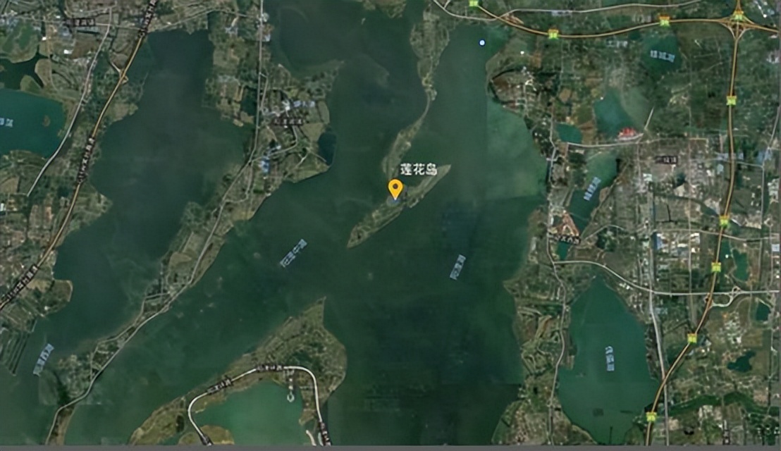 阳澄湖大闸蟹到底有多少真的假的,阳澄湖大闸蟹为什么很多假的