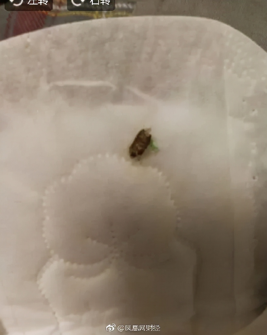 卫生巾内发现虫卵,卫生巾有细扁的小虫子
