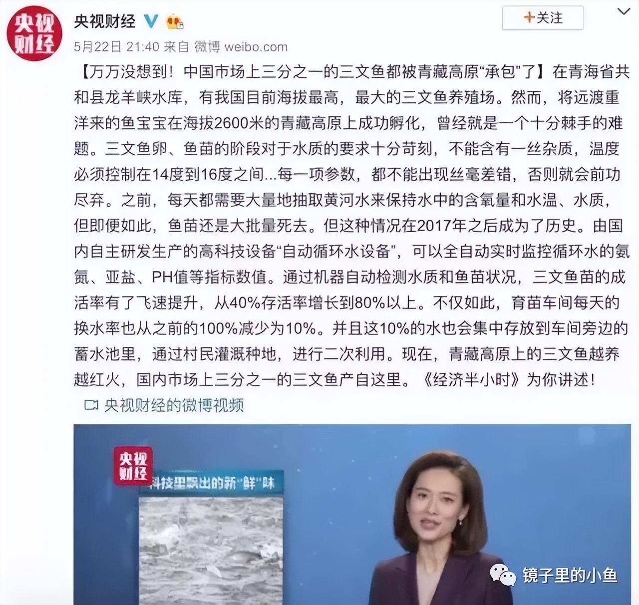 生吃三文鱼真的好吃么,生吃三文鱼和熟吃三文鱼品种区别