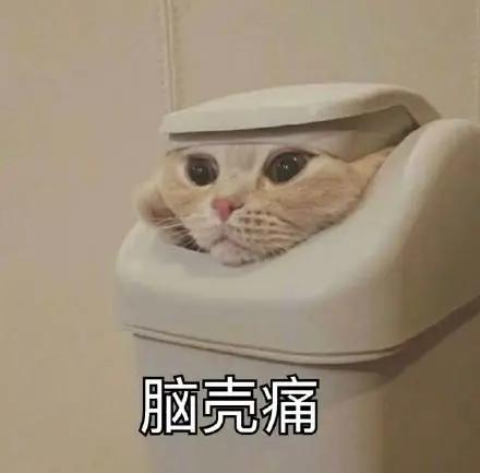 苏州教育机构十大排名,苏州教育哪个区最好