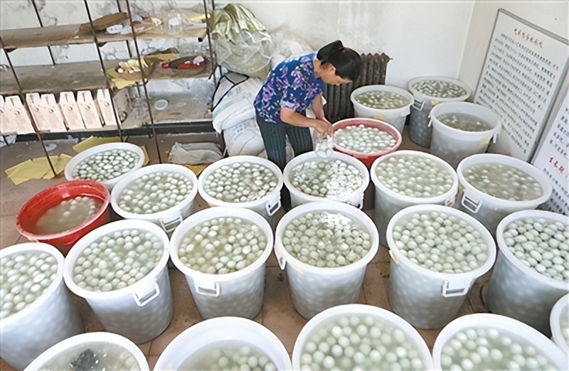 养鸭专业户一年赚多少钱,养鸭1000只蛋鸭利润和成本高吗