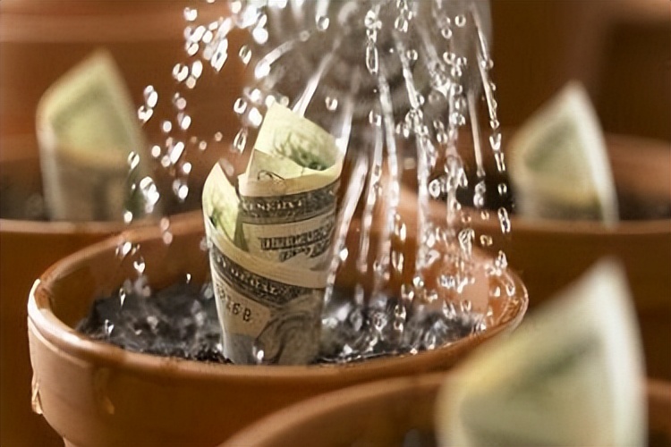 新手无经验创业项目做什么,新手创业无技术