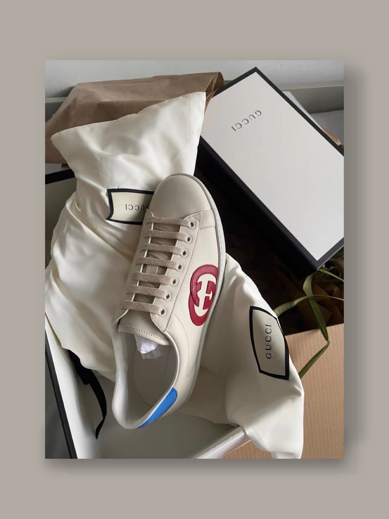 肖战gucci断货,肖战同款断货鞋子