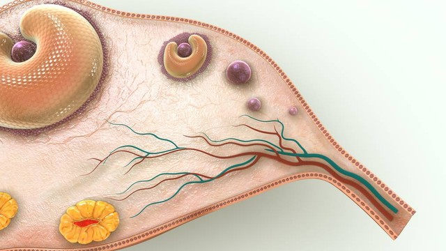 41岁试管一般几次成功,试管一般几次成功大概花多少钱