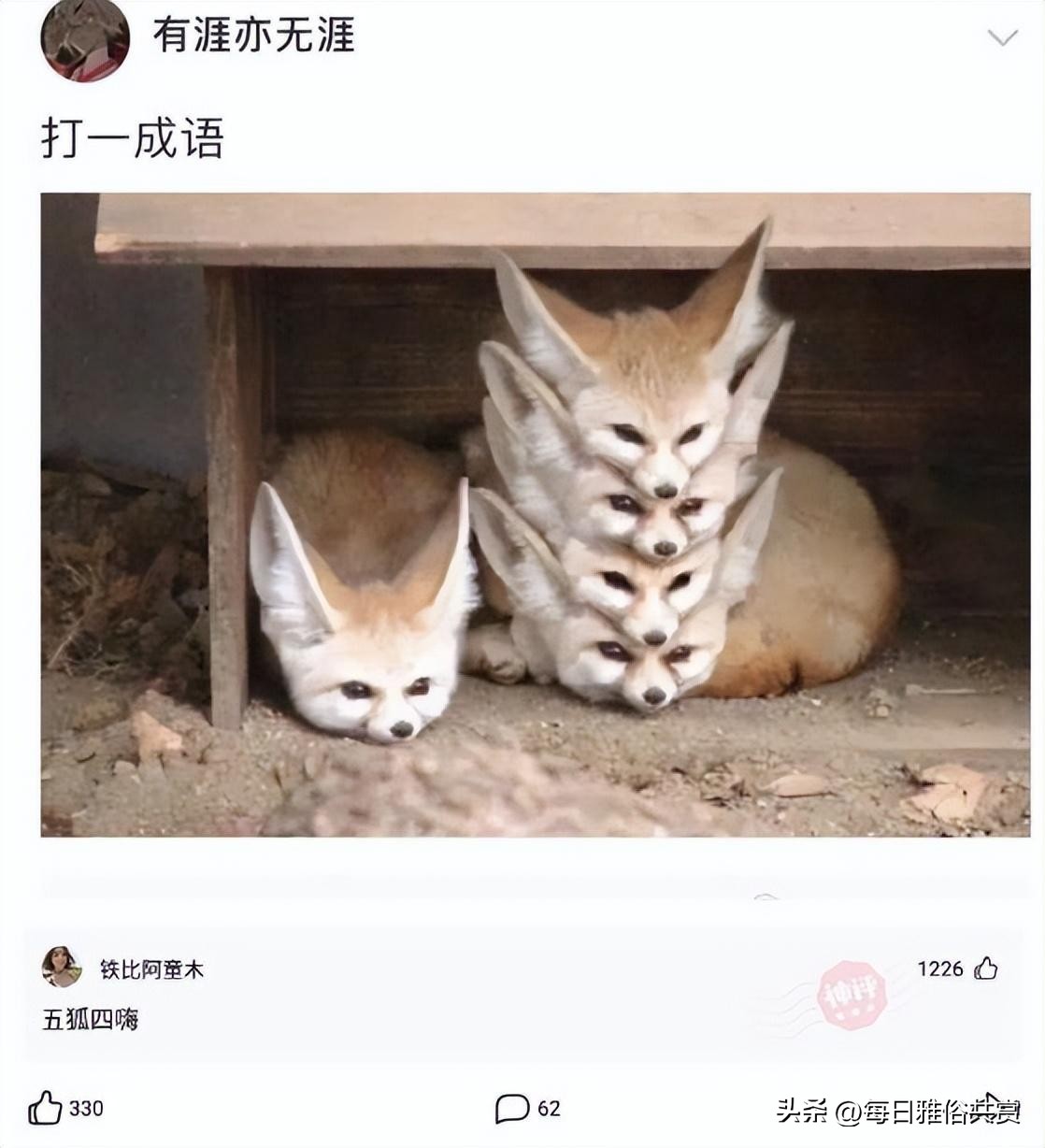 【盐选神回复】请问这种病该怎么治。