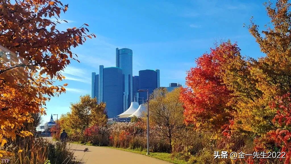 汇率是如何确定的,各国汇率怎样确定