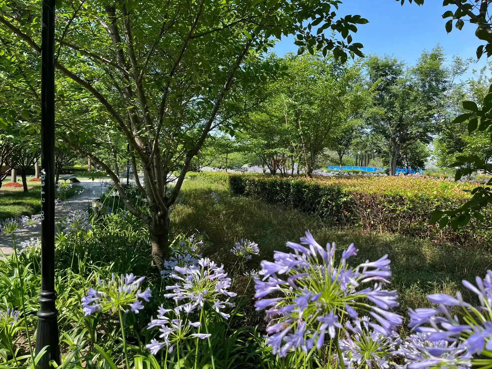 上海浦西滨江骑行攻略,上海休闲路线