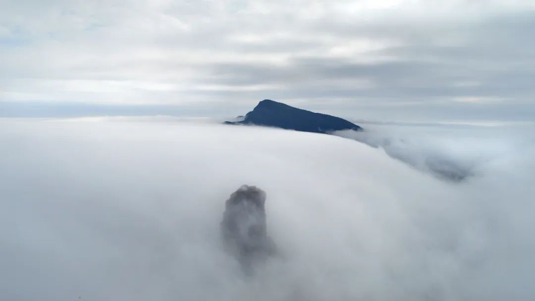 坤鹏论：读《泰阿泰德篇》探究知识是什么（四十四）