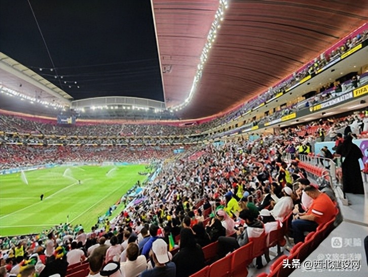 卡塔尔世界杯现场的宝宝,卡塔尔世界杯足球宝贝现场