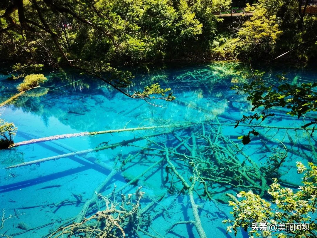 挥别八月夏末，在九寨沟绚烂初秋邂逅