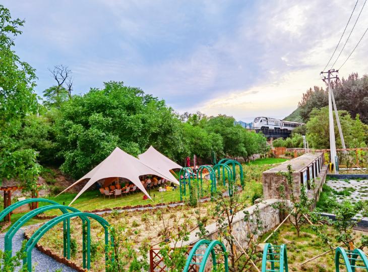 拓宽农民增收新路子,特色产业拓宽农民致富路