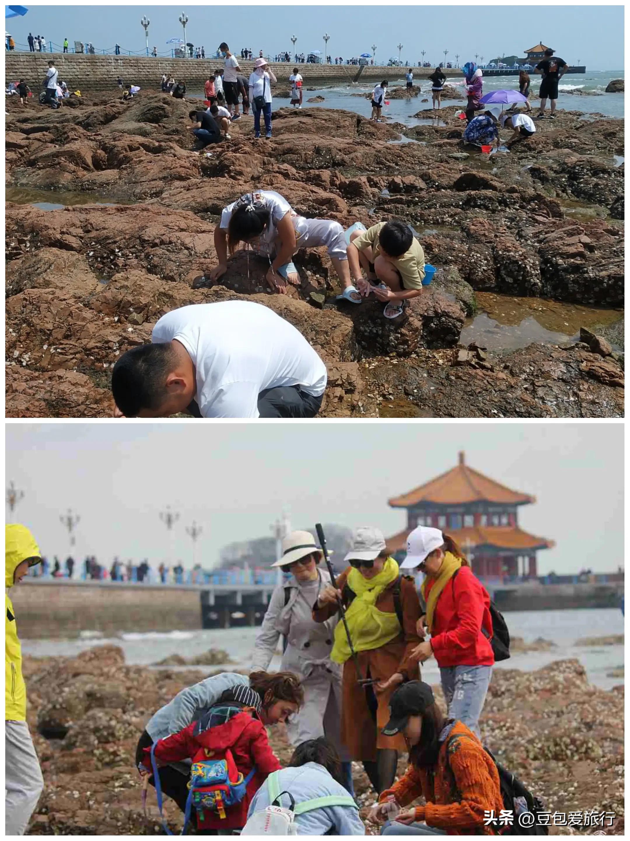 青岛旅游8月避坑攻略图,青岛海边旅游攻略三日游详细路线