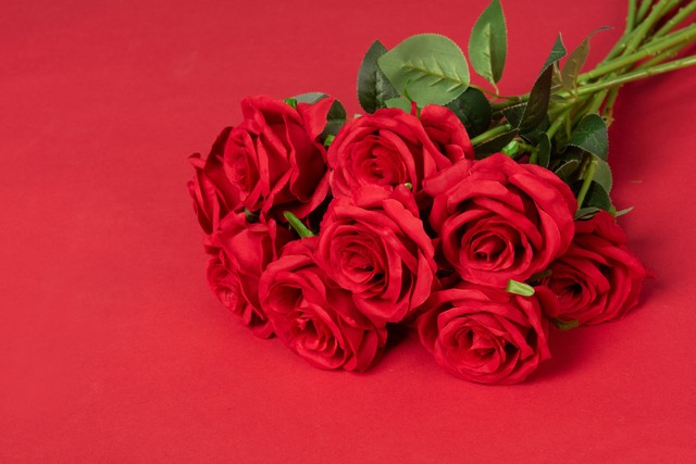 520送女朋友什么礼物比较实用,520礼物送喜欢的女生礼物推荐