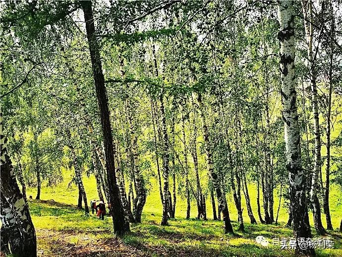 七律人生感悟二十八首,最经典的七律20首