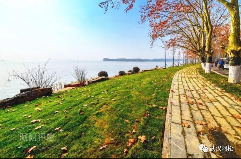 海口江东片区最新房价,地段好的房价越来越贵