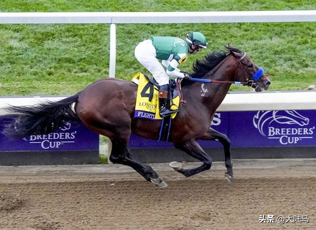 21世纪最伟大比赛,20世纪美国100匹顶级赛马排名