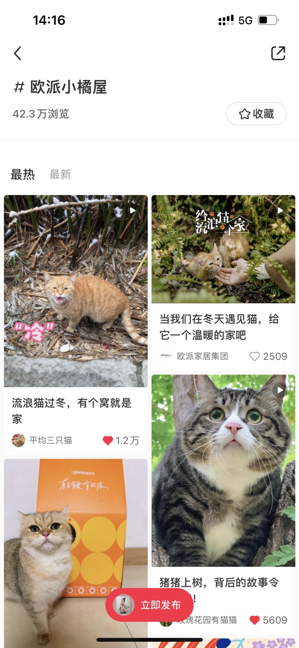 为爱定制一个家,为流浪猫爱心筹款