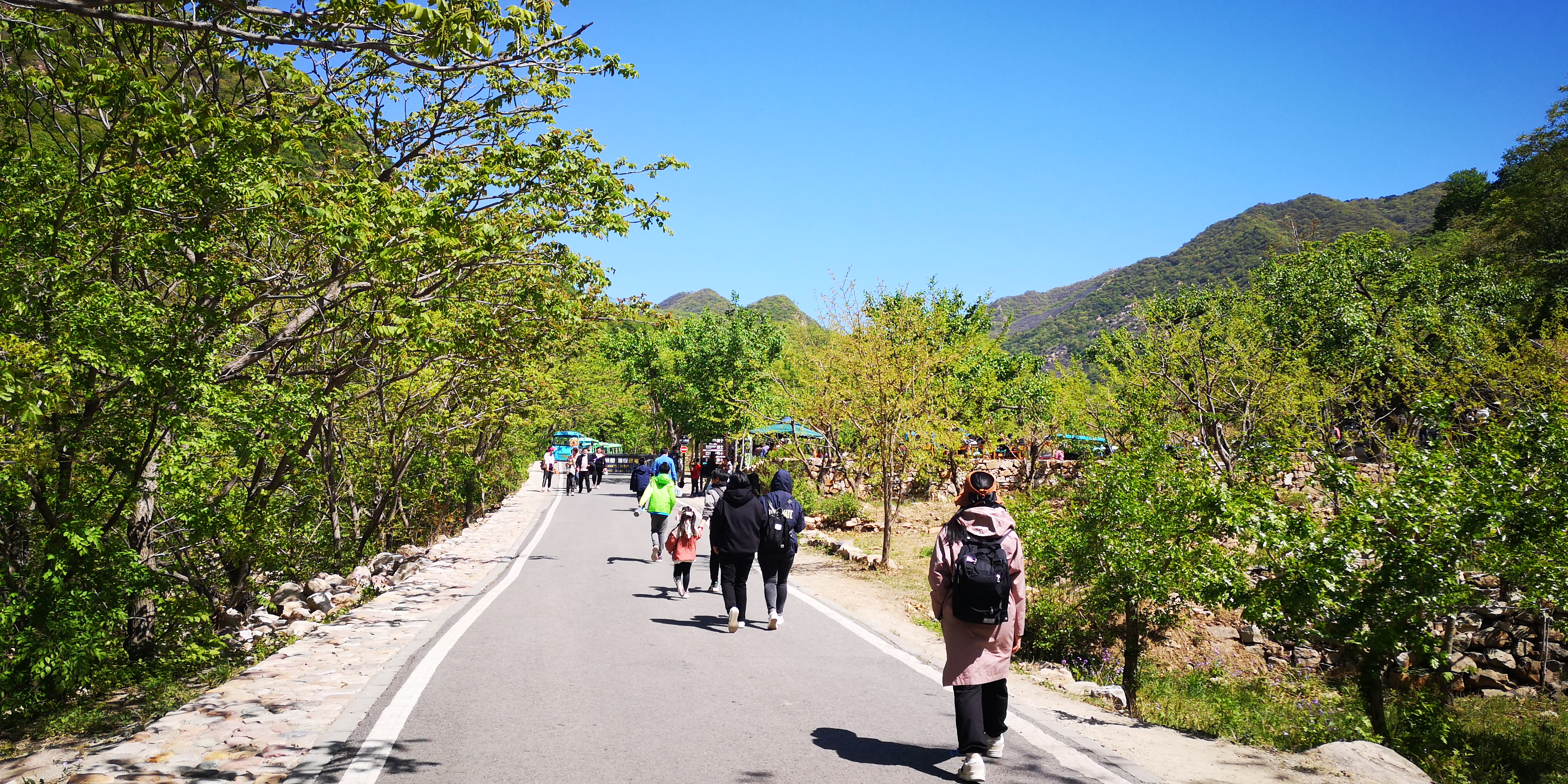 天津梨木台景区值得夏天去的地方,天津蓟县梨木台风景区路线