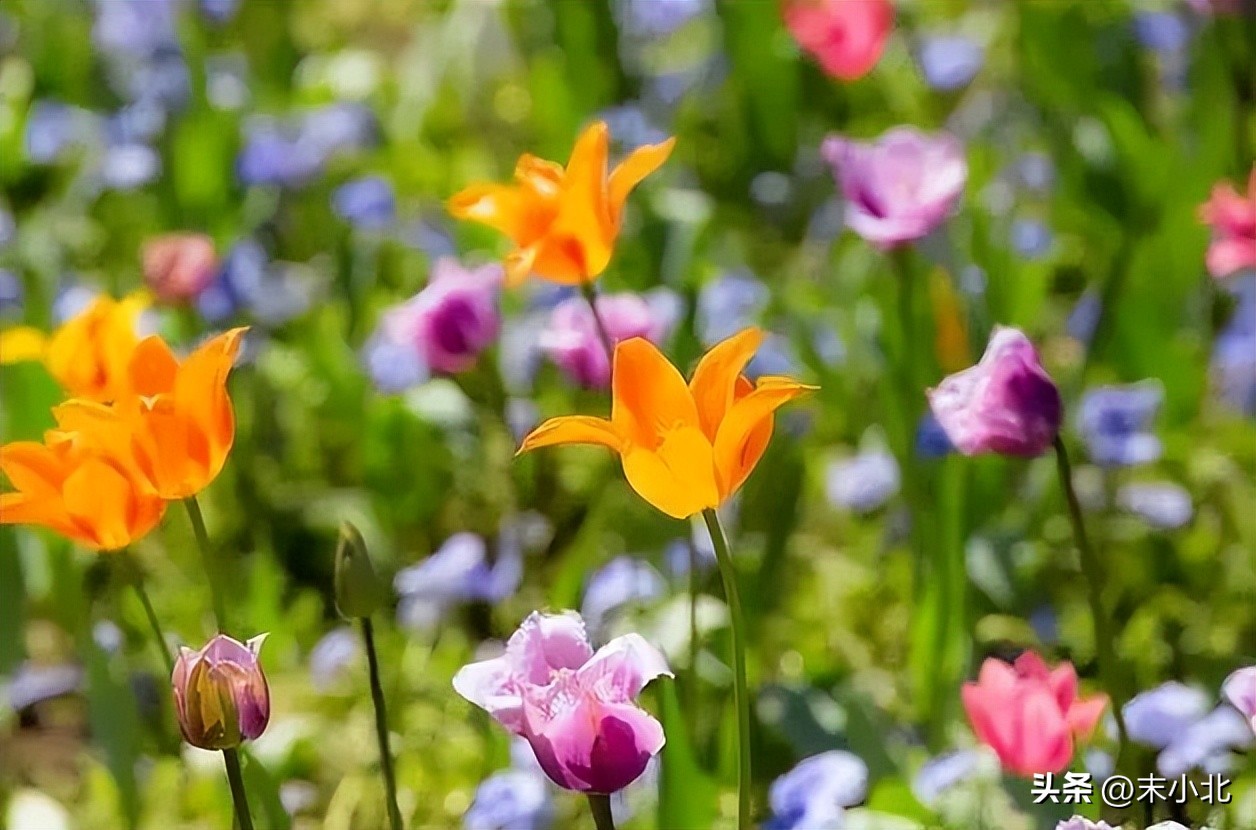 男人哄骗女人时，常说的三句“假话”，你听过几句？