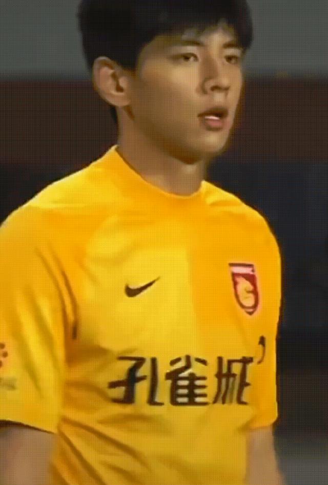 撞脸李现小男孩原视频,撞脸李现的萌娃