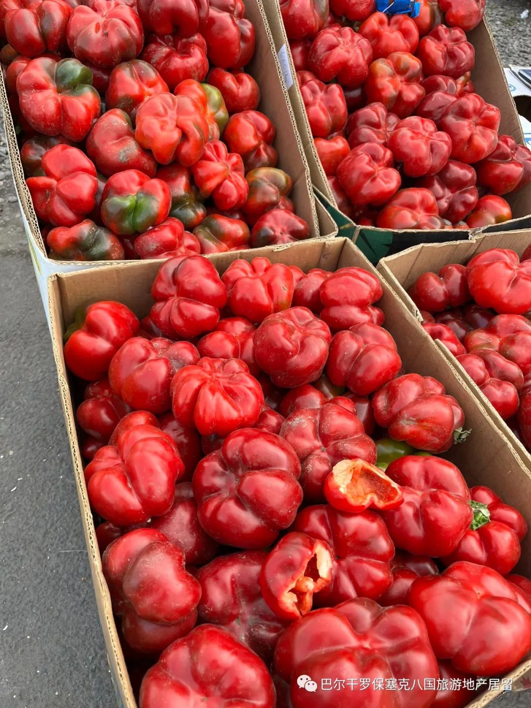 罗马尼亚蔬菜,罗马尼亚大型水果批发市场