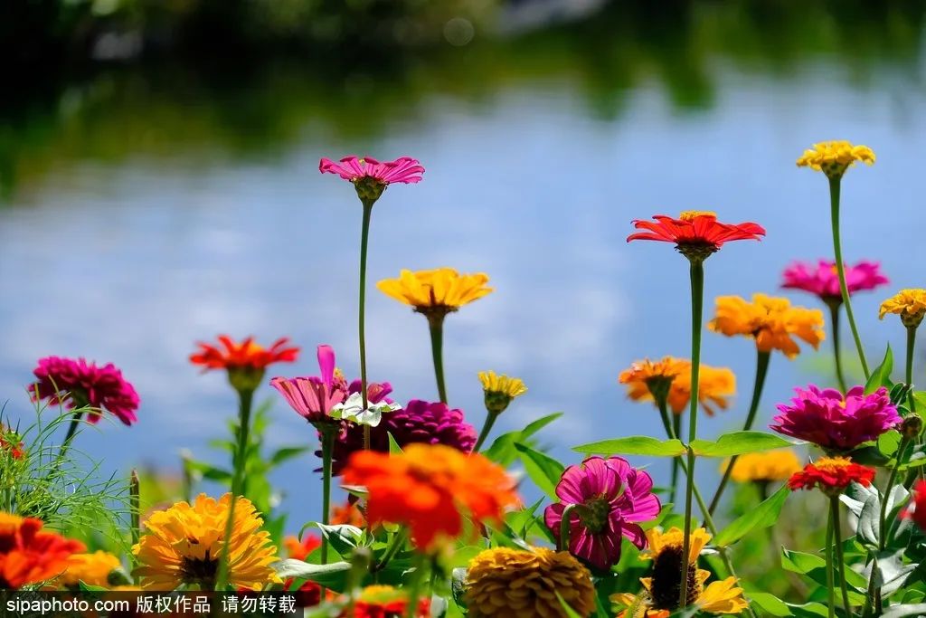 来北京必逛皇家园林,北京具有特色的皇家园林