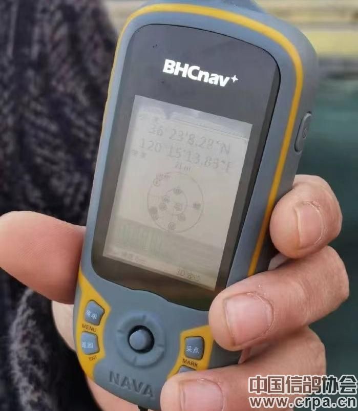 2023洲际赛决赛视频,洲际杯总决赛