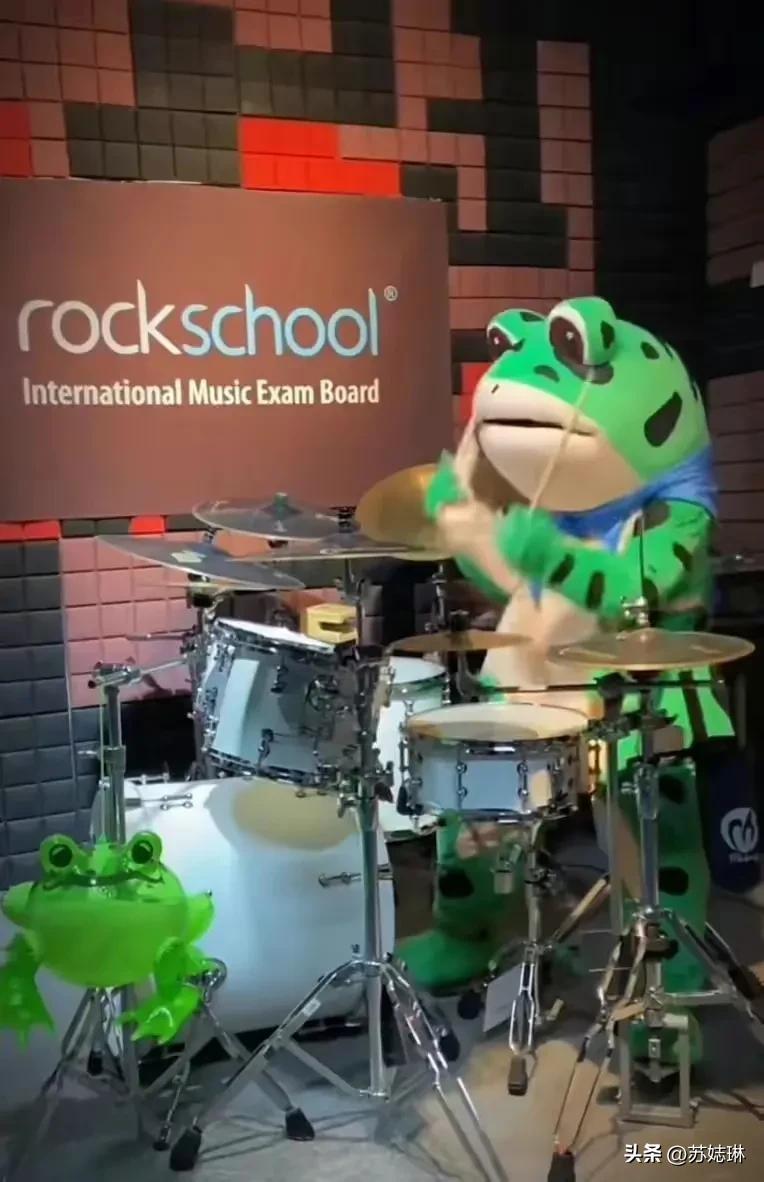 网红青蛙遭城管制止，无奈脱掉衣服，有话不能好好说吗？