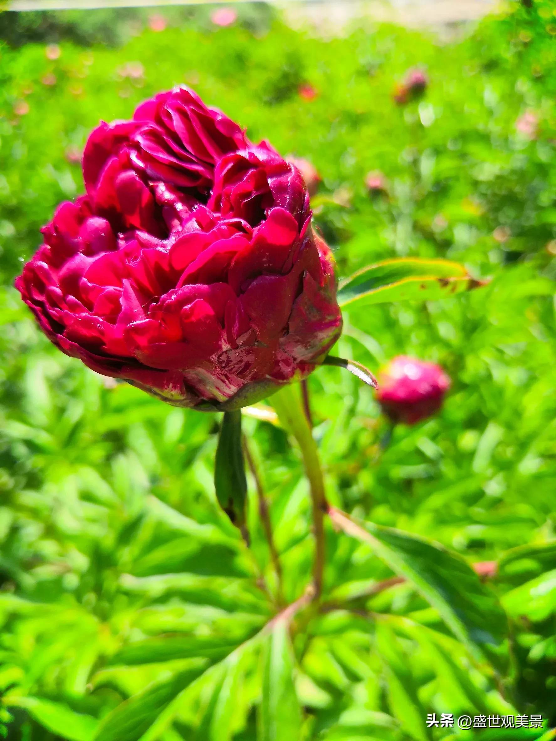 怎样找到头条的流量密码,头条原创文章怎么加推荐量