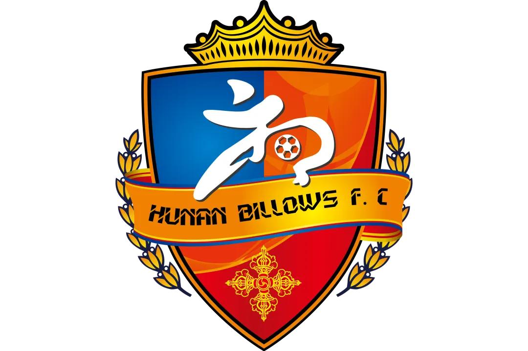 中国是足球荒漠,足球荒漠中国队