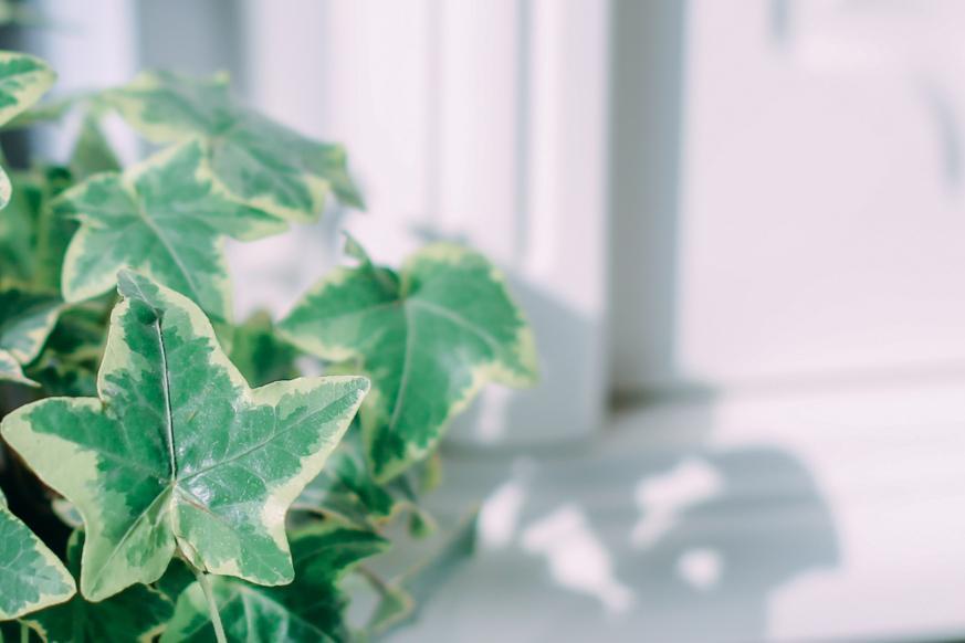 一个家庭气运不好的表现,一个家庭越来越有福气的三个迹象