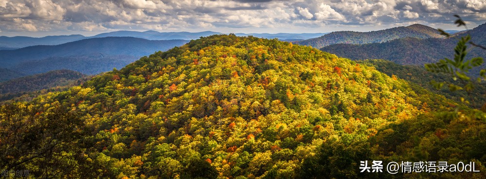 物是人非事事休欲语泪先流出自哪,物是人非事事休欲语泪先流古风